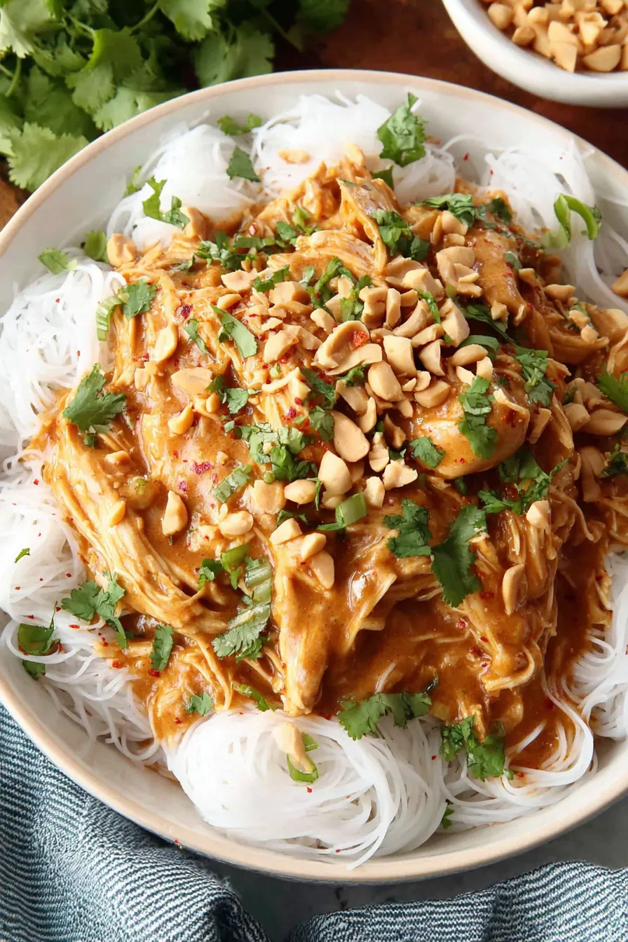 Bowl of Thai peanut chicken in a slow cooker