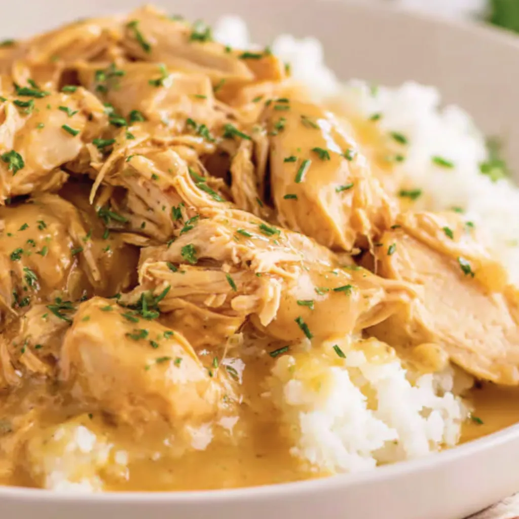 Crock Pot Chicken and Gravy
