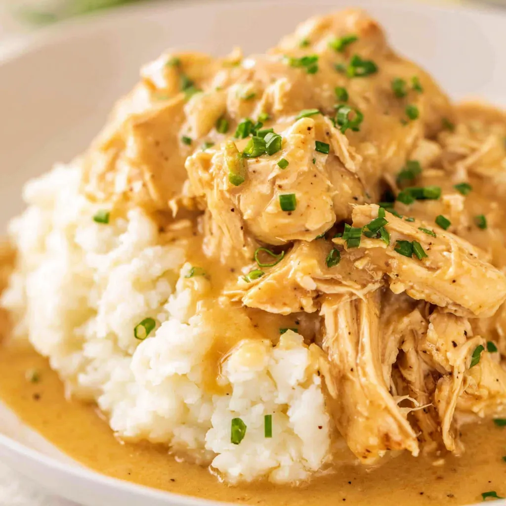 Crock Pot Chicken and Gravy